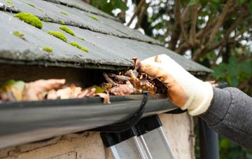 gutter cleaning Stoughton